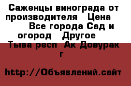 Саженцы винограда от производителя › Цена ­ 800 - Все города Сад и огород » Другое   . Тыва респ.,Ак-Довурак г.